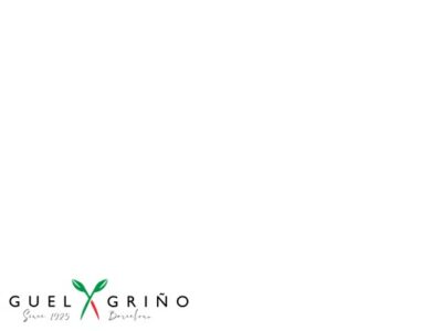 PROVA GRINO PROVA GRINO